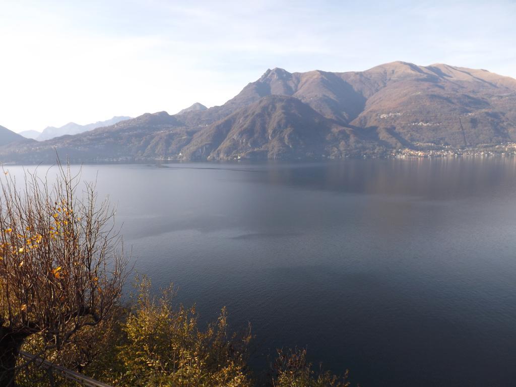 Exclusive Villa Crotto Lake View Βαρένα Εξωτερικό φωτογραφία